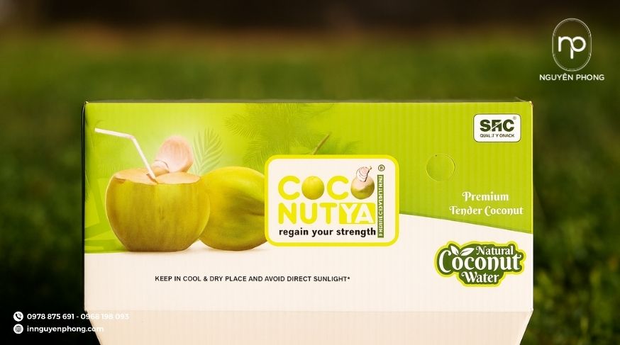 Mẫu thùng carton đựng dừa in đẹp